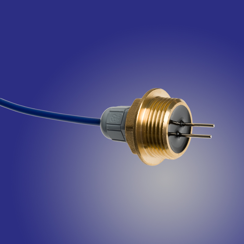 Immersion probe water sensor