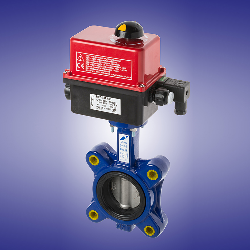 Butterfly valve